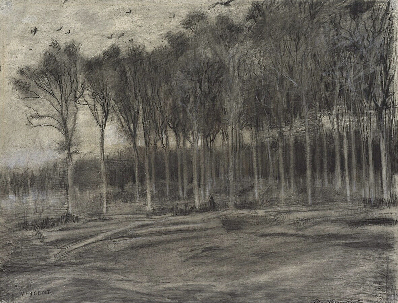 van-gogh-vincent---otterlo---kroller-muller-museum---view-of-a-wood-1881-acquerello-matita-e-gessetto-nero-su-carta-vergata-416-x-548-cm_50536590311_o.jpg
