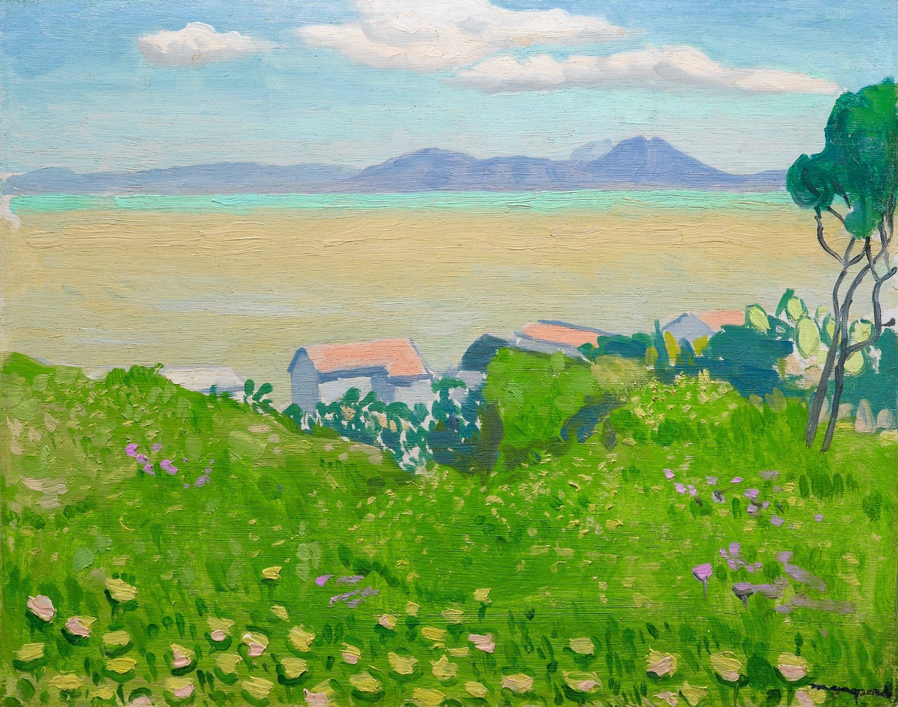 Flowering Field Albert Marquet.jpg