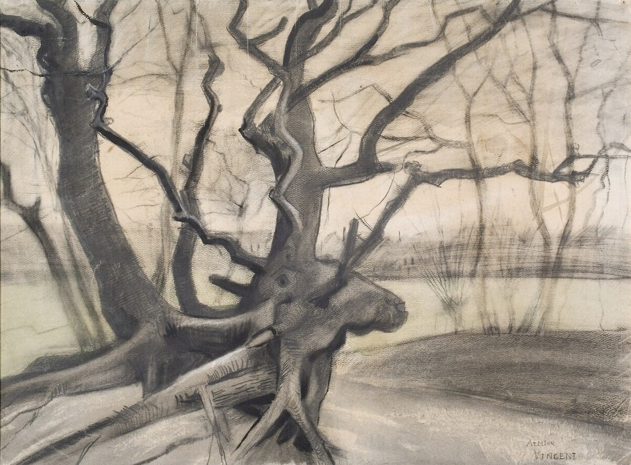 van-gogh-vincent---otterlo---kroller-muller-museum---tree-roots-in-a-sandy-ground-les-racines-1882-acquerello-matita-e-gessetto-su-carta-515-x-707-cm_50648050891_o.jpg