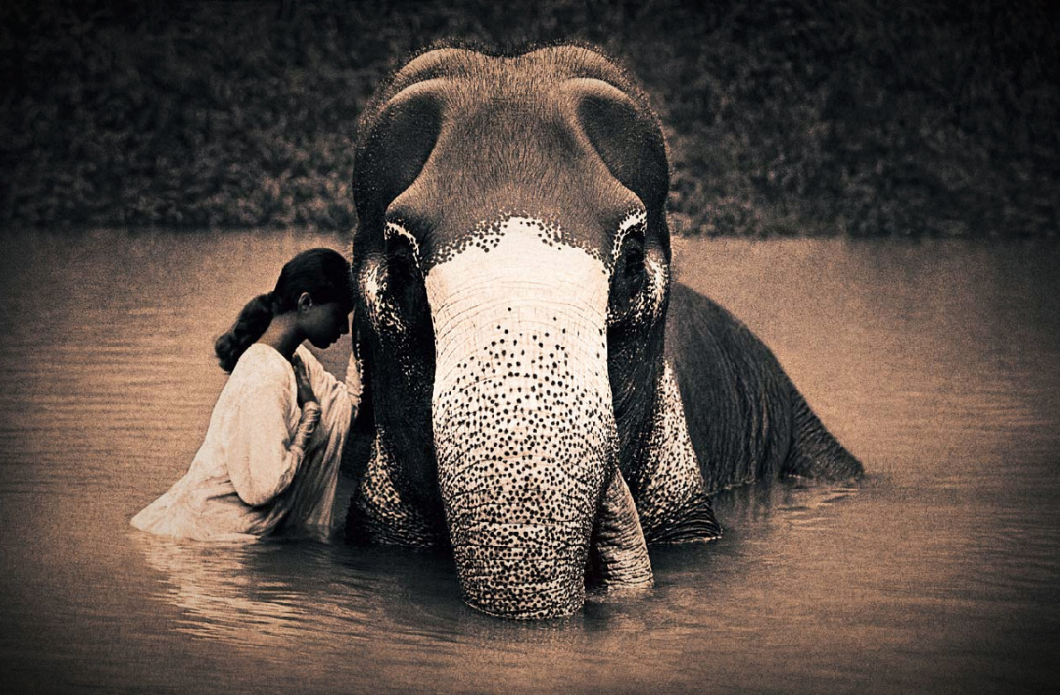 Gregory_Colbert.jpg