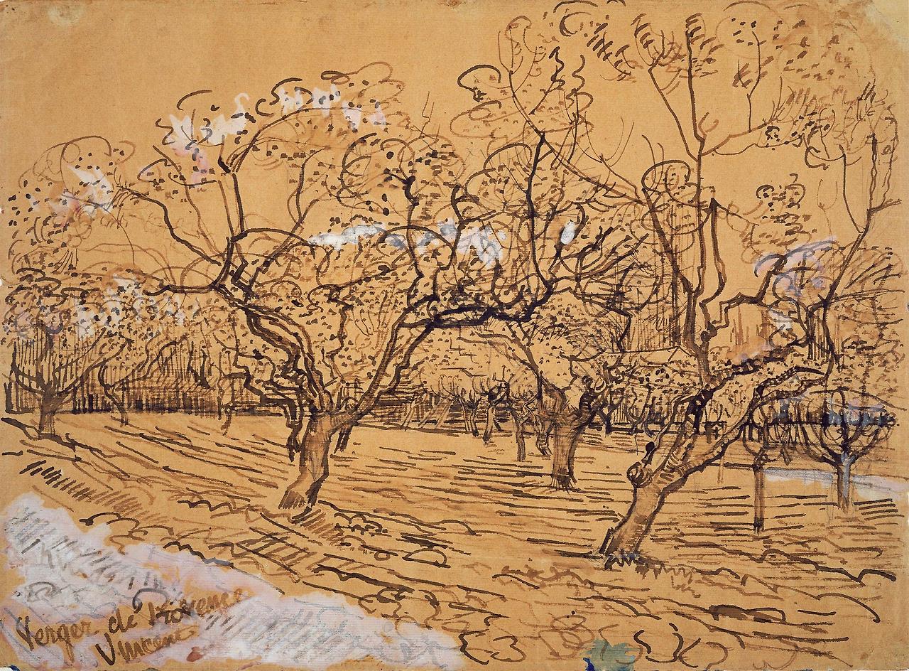 van-gogh-vincent---amsterdam---van-gogh-museum---provencal-orchard-1888-acquerello-matita-penna-e-inchiostro-su-carta-395-x-536-cm_51417263428_o.jpg
