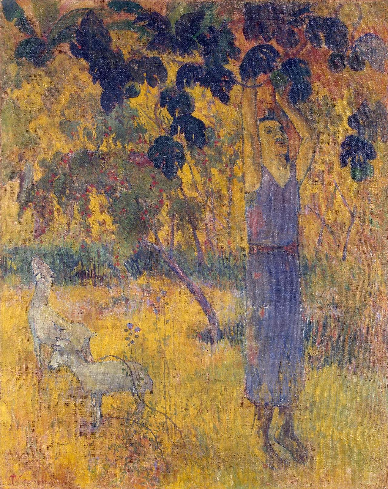 gauguin-paul---san-pietroburgo---hermitage---man-picking-fruit-from-a-tree-1897-olio-su-tela-925x733-cmga05_50496586051_o.jpg