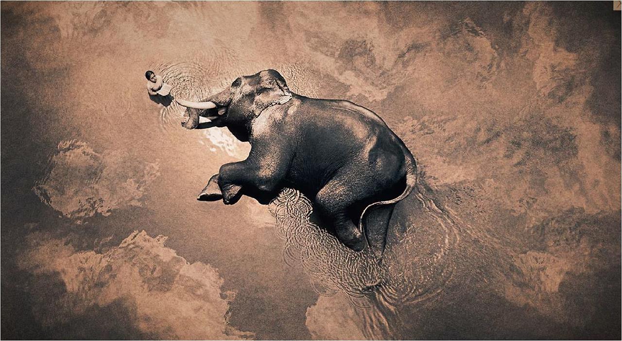 Gregory_Colbert14.jpg