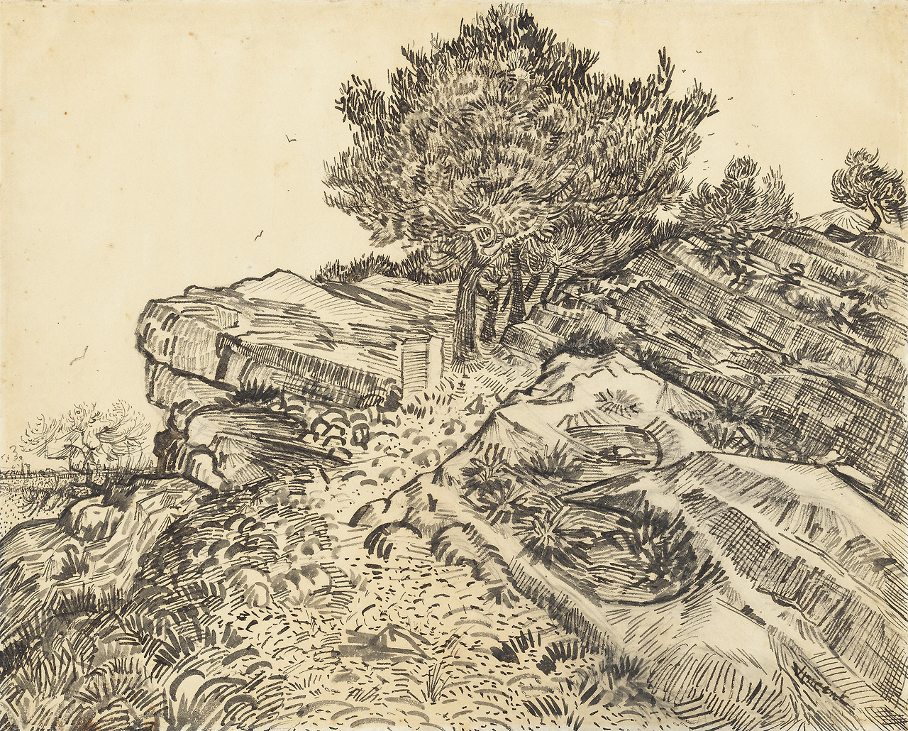 van-gogh-vincent---amsterdam---van-gogh-museum---the-rock-of-montmajour-with-pine-trees-1888-matita-penna-pennello-e-inchiostro-su-carta-491-x-61-cm_51410879930_o.jpg
