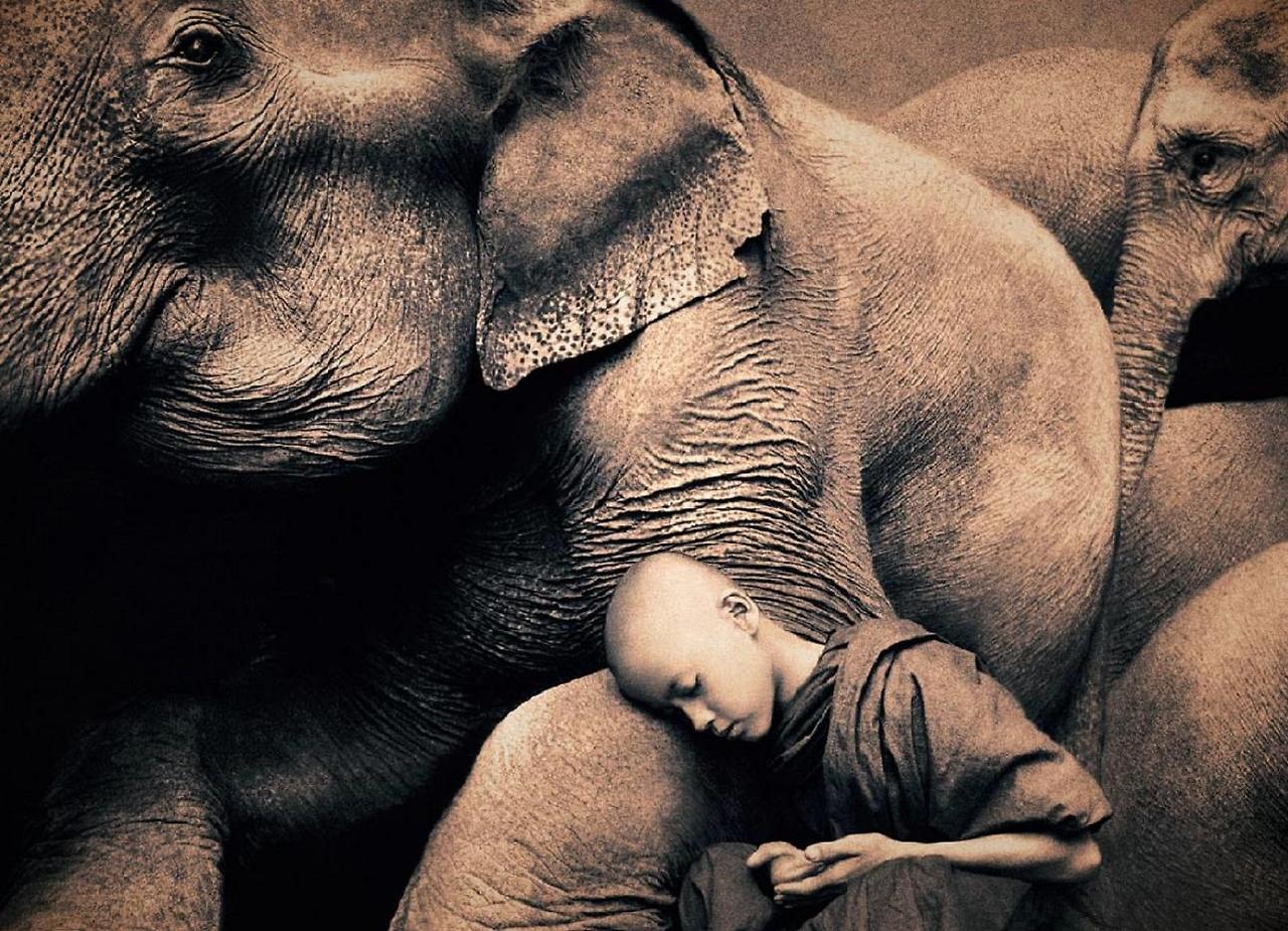 Gregory_Colbert7.jpg
