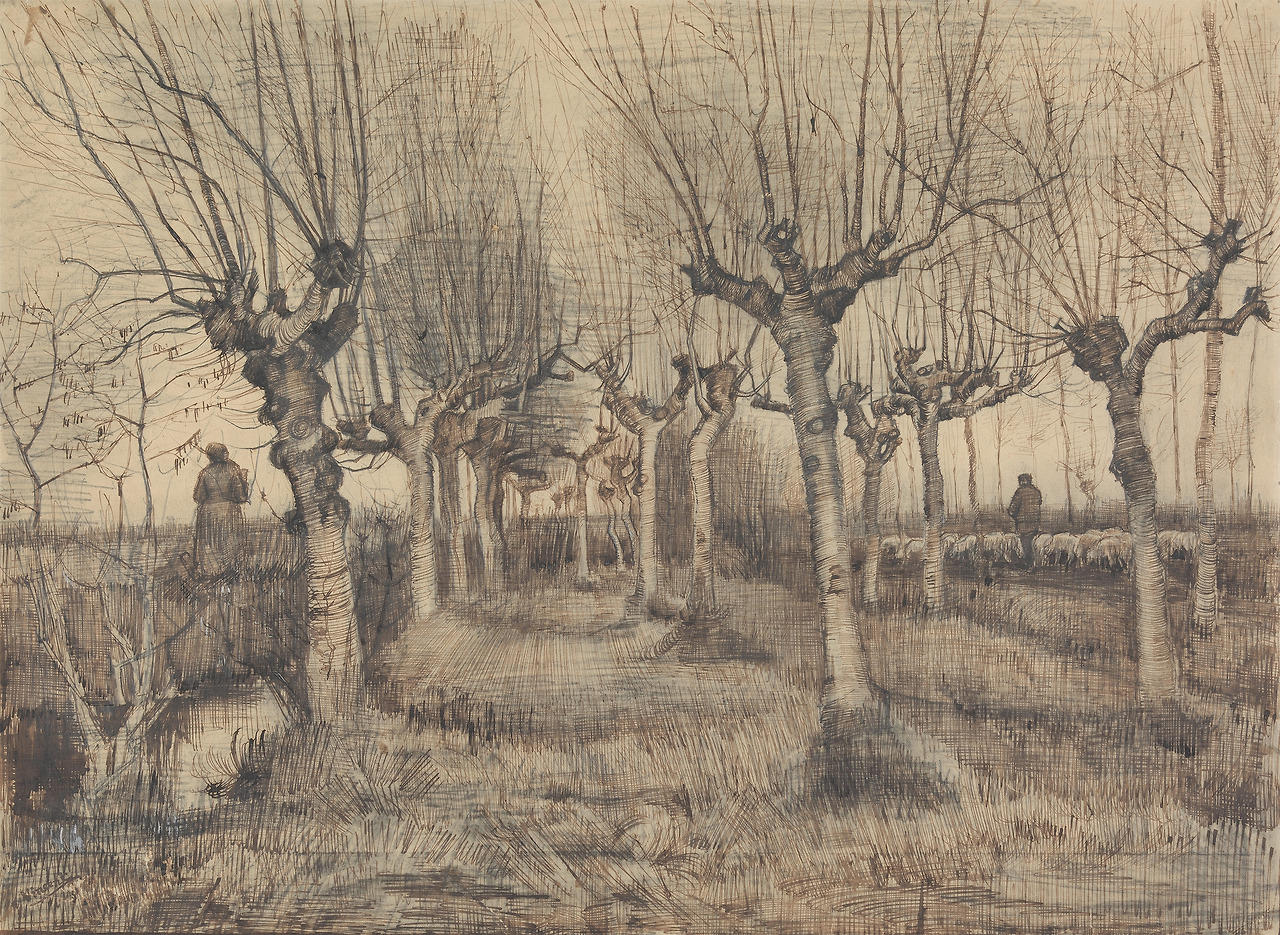 van-gogh-vincent---amsterdam---van-gogh-museum---pollard-birches-1884-acquerello-matita-penna-e-inchiostro-su-carta-395-x-542-cm_51409154637_o.jpg