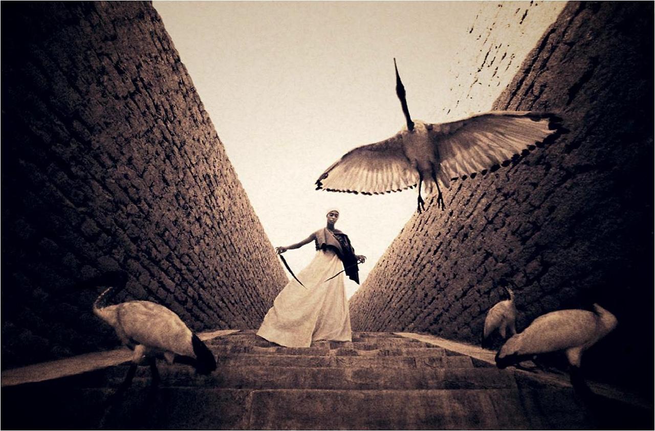 Gregory_Colbert9.jpg