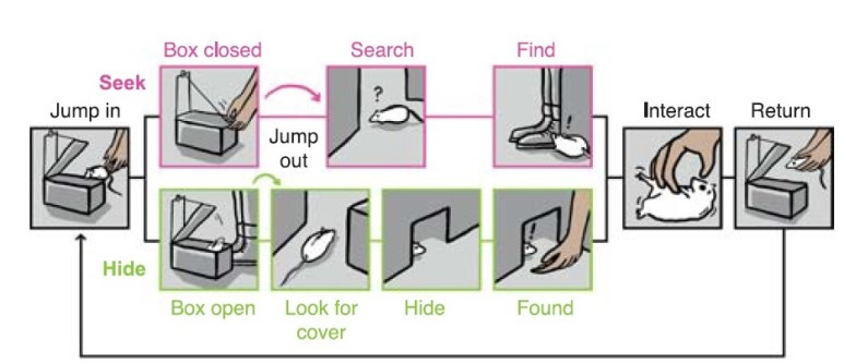 00502741_20190911 (1).jpg