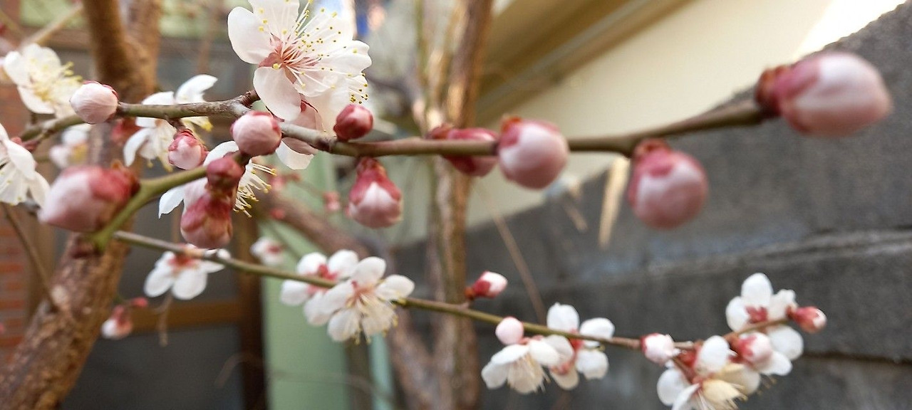 BandPhoto_2022_07_03_15_13_49 (1).jpg