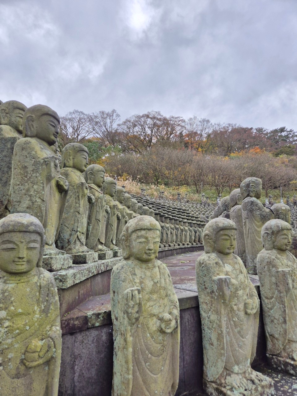 철학흥신소-전체 사진-64508204915.jpg