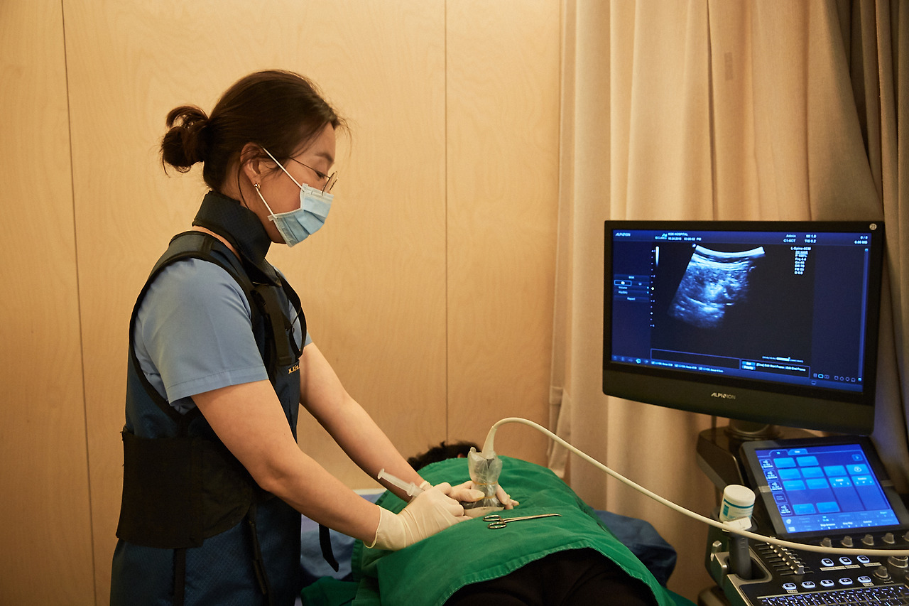 SI(초음파유도하주사치료)_허리 (17).jpg