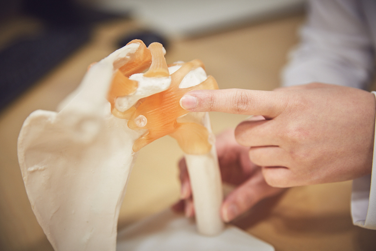 관절모형_어깨 (6).jpg