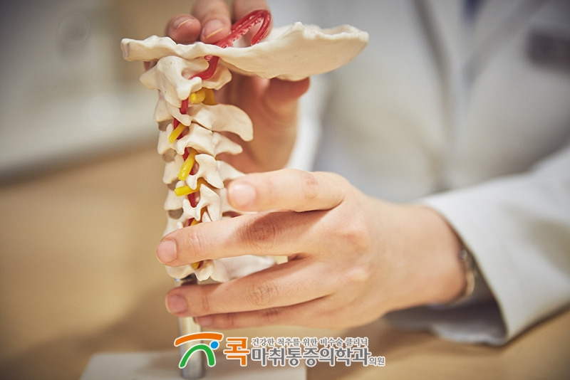 척추모형_목 (15).jpg