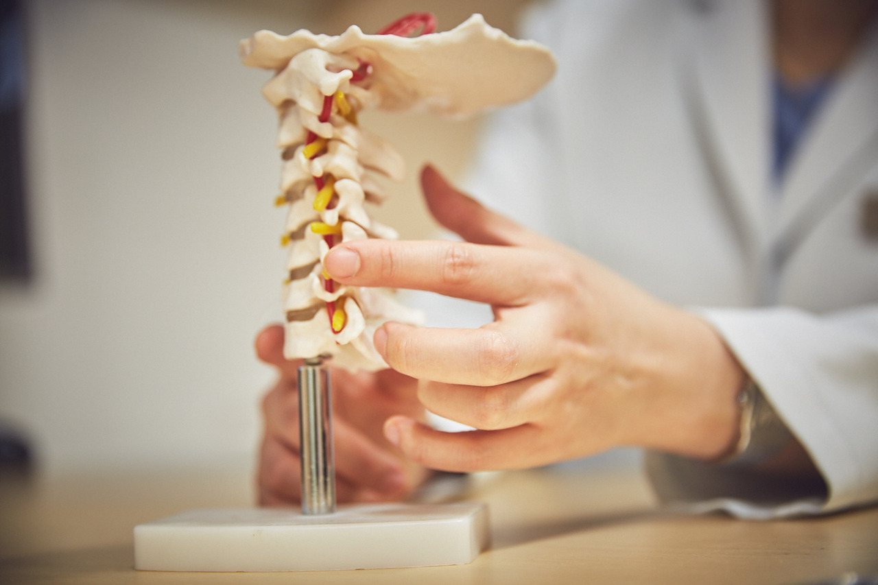 척추모형_목 (2).jpg