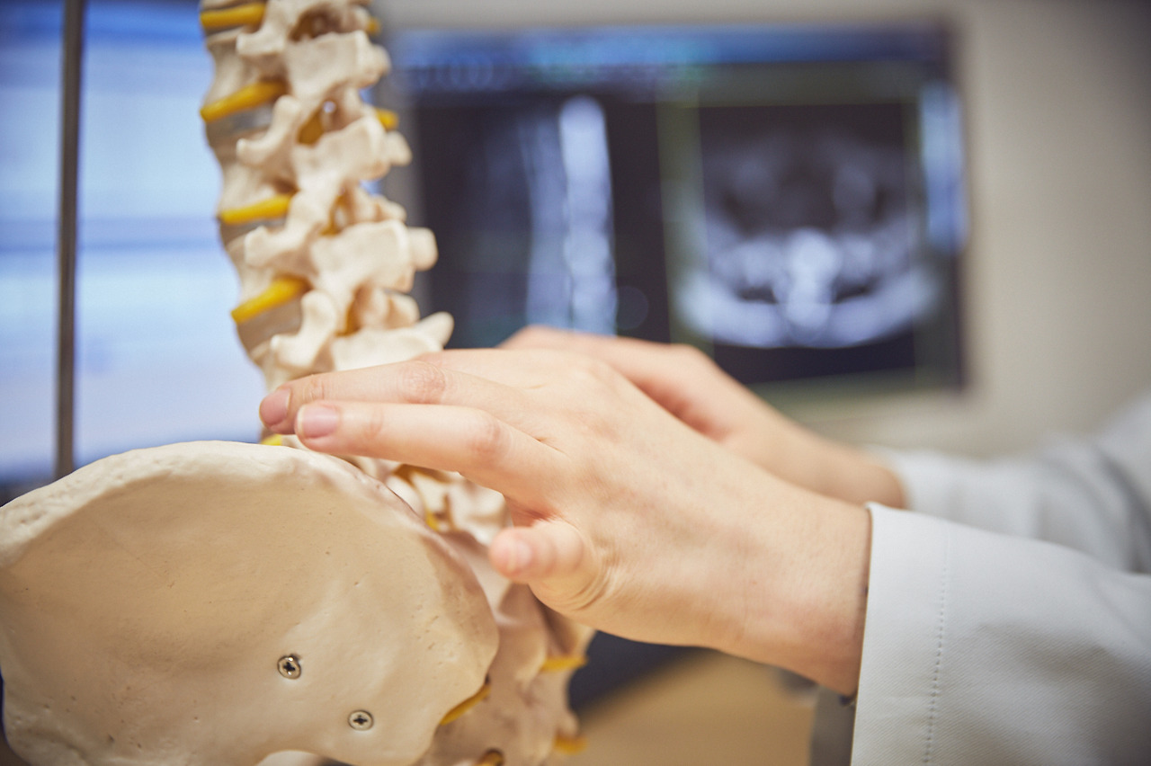 척추모형_허리 (7).jpg