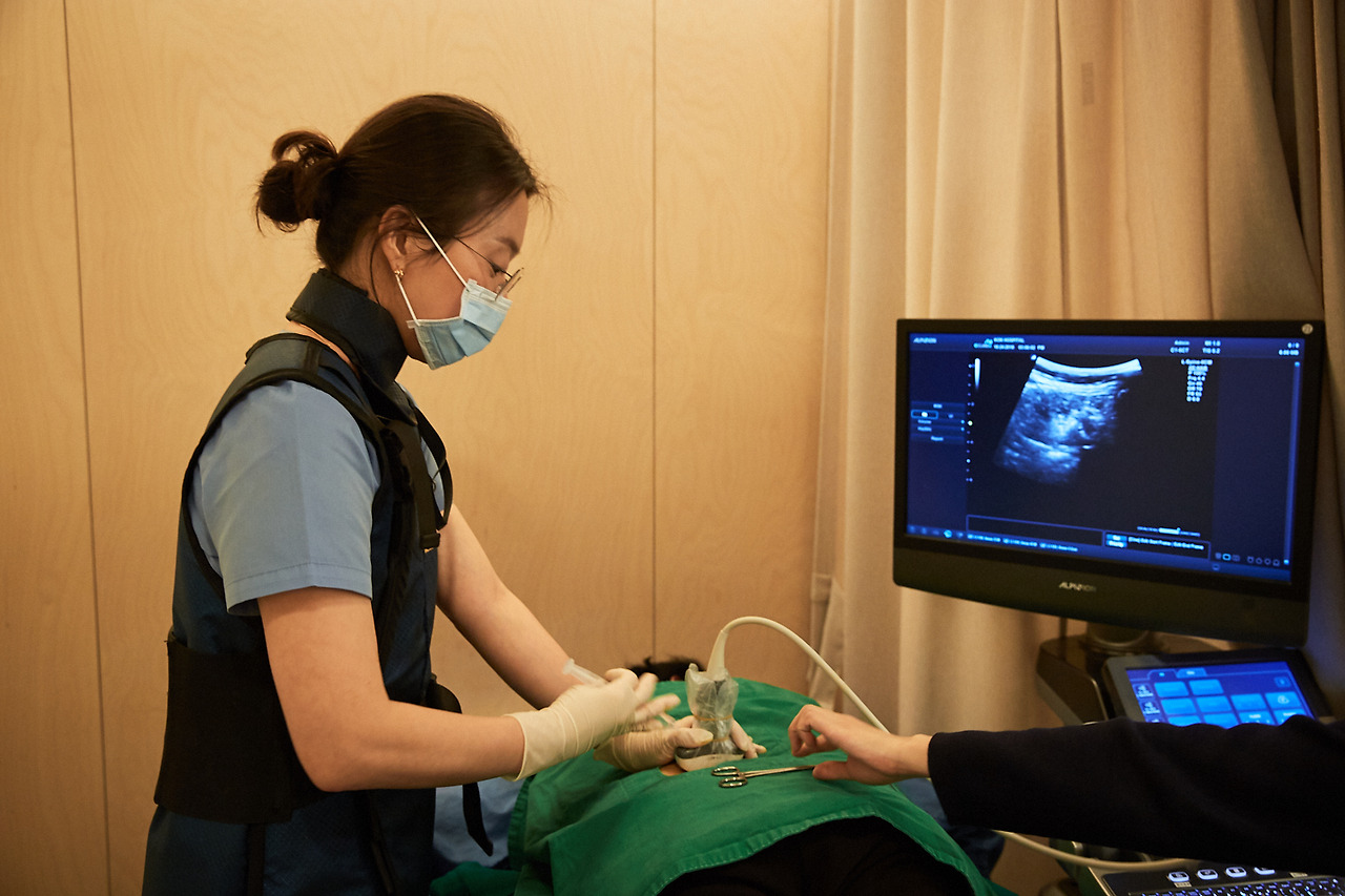 SI(초음파유도하주사치료)_허리 (21).jpg