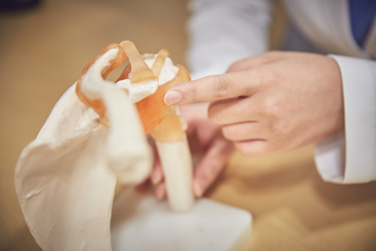 관절모형_어깨 (12).jpg