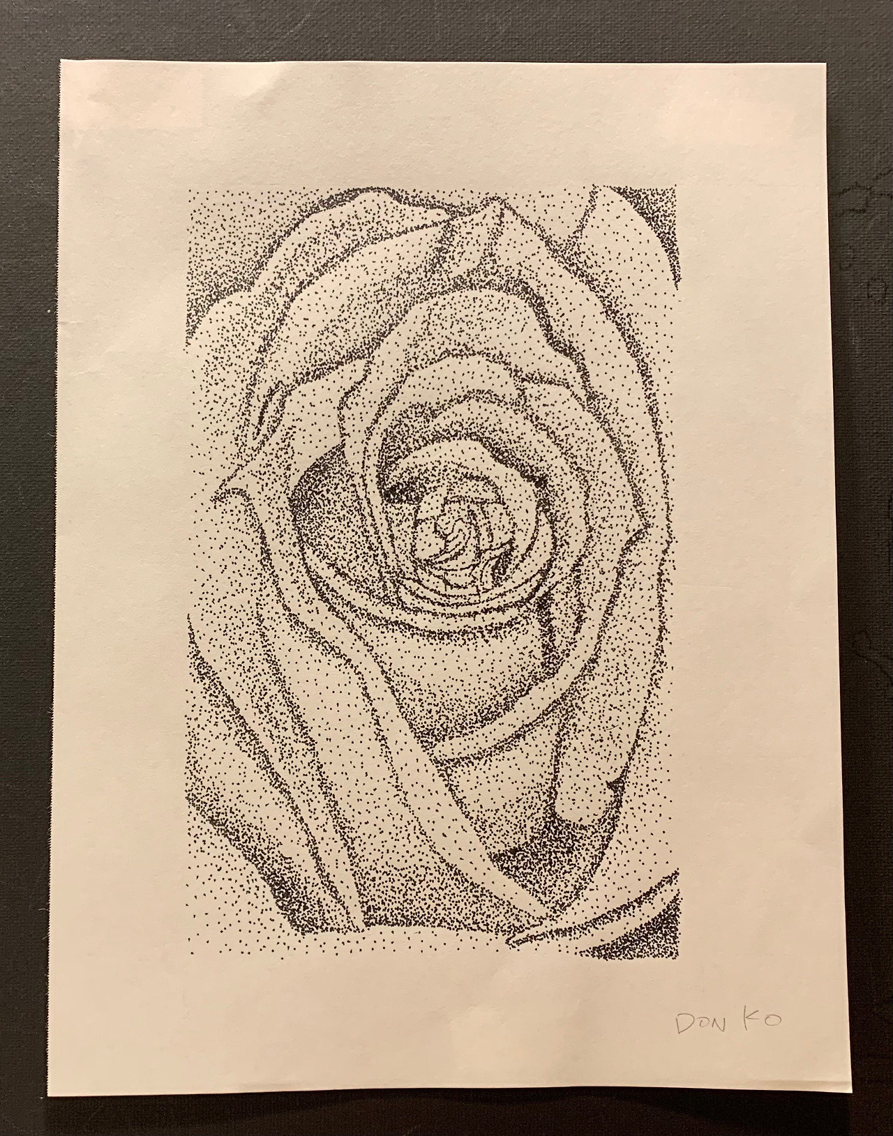 Flower Drawing - Don Ko.jpg