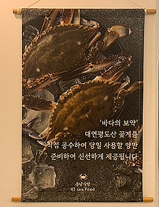 연평도.jpg