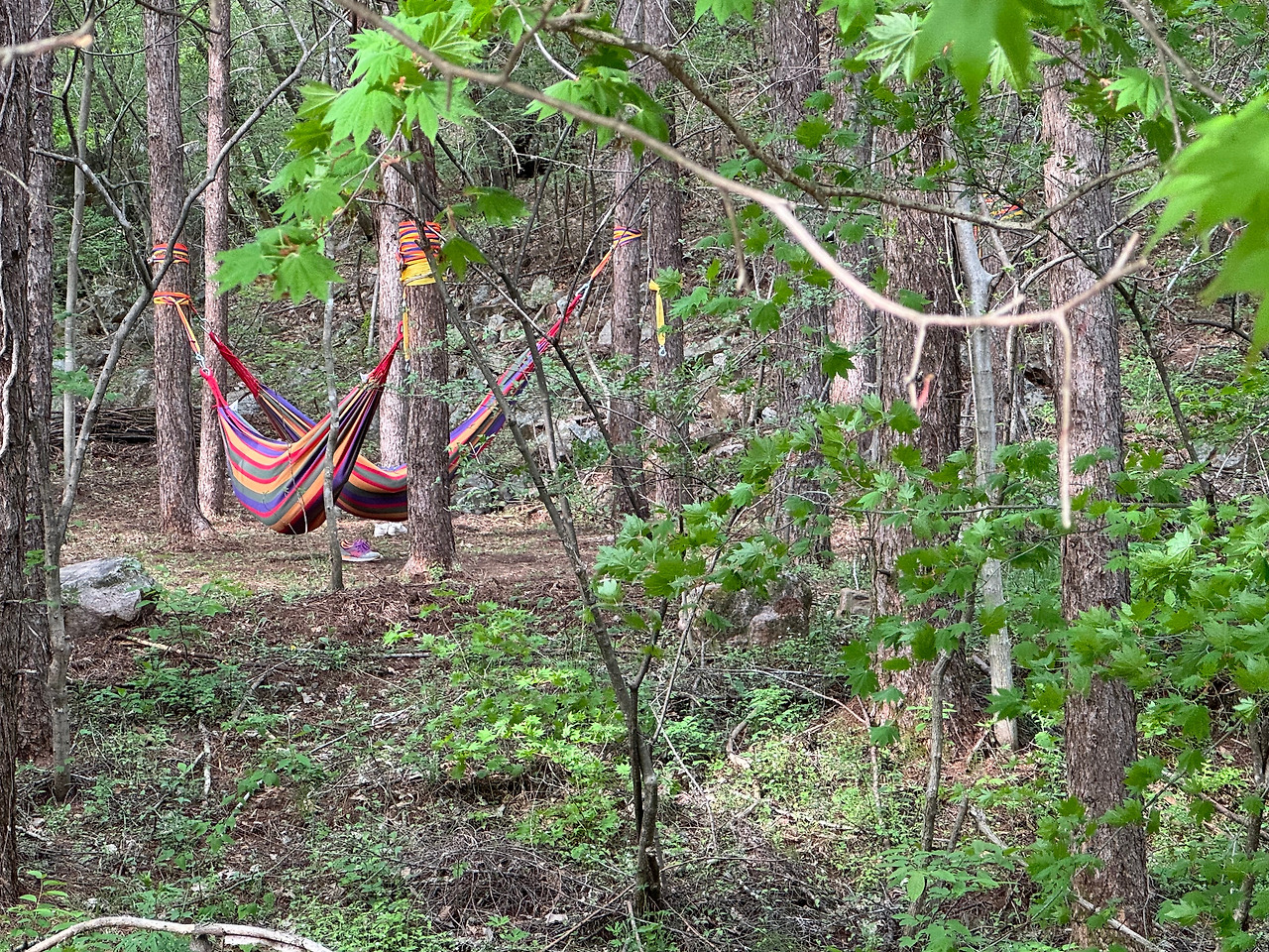 KakaoTalk_20240601_232929935_05 (1).jpg