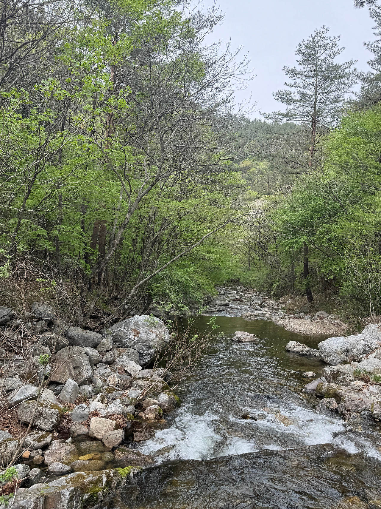 KakaoTalk_20240601_232929935_09 (1).jpg