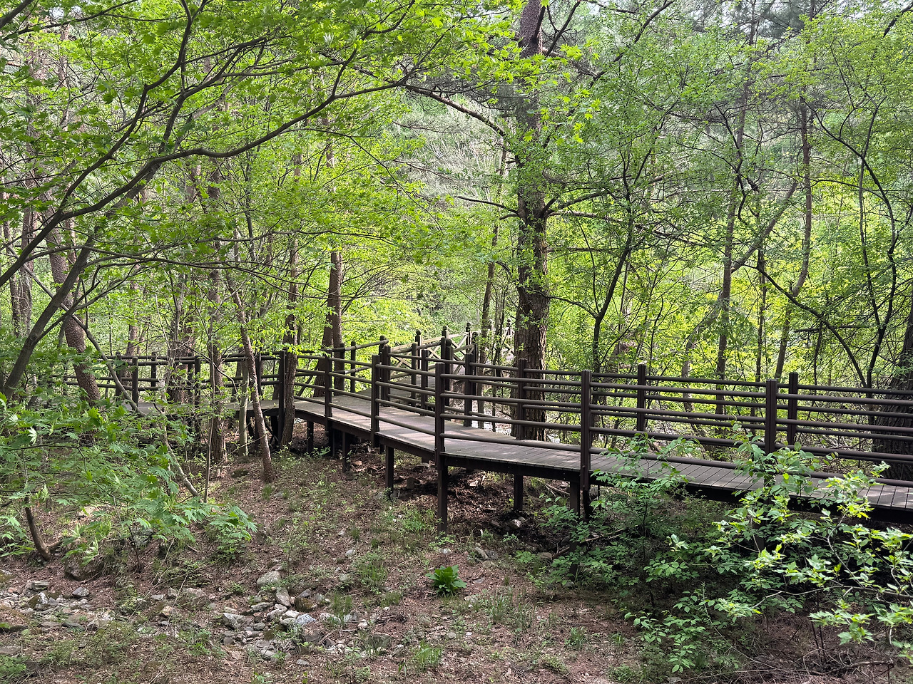 KakaoTalk_20240601_232929935_03 (1).jpg