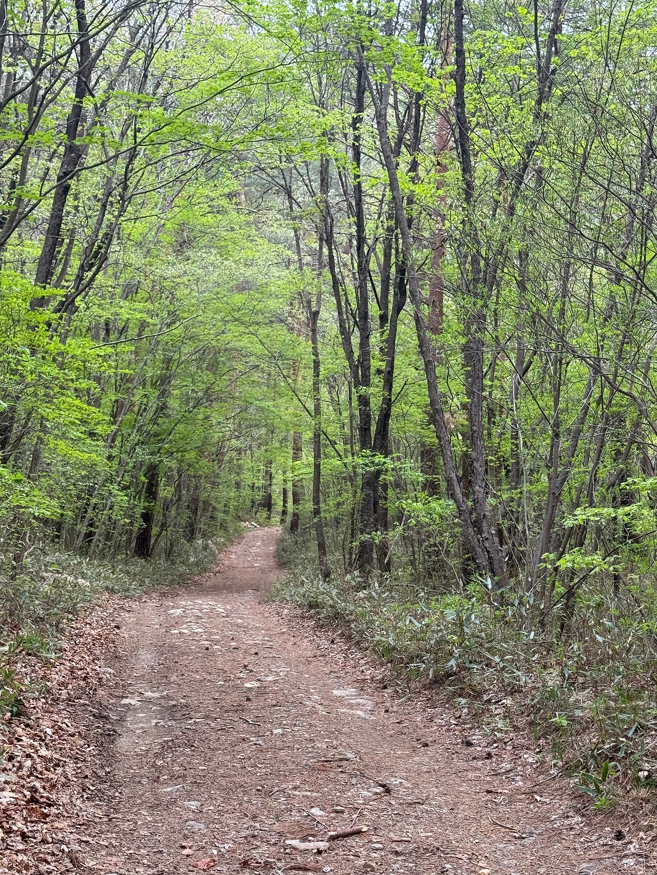 KakaoTalk_20240601_232929935_10 (1).jpg