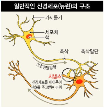 00neuron.jpg