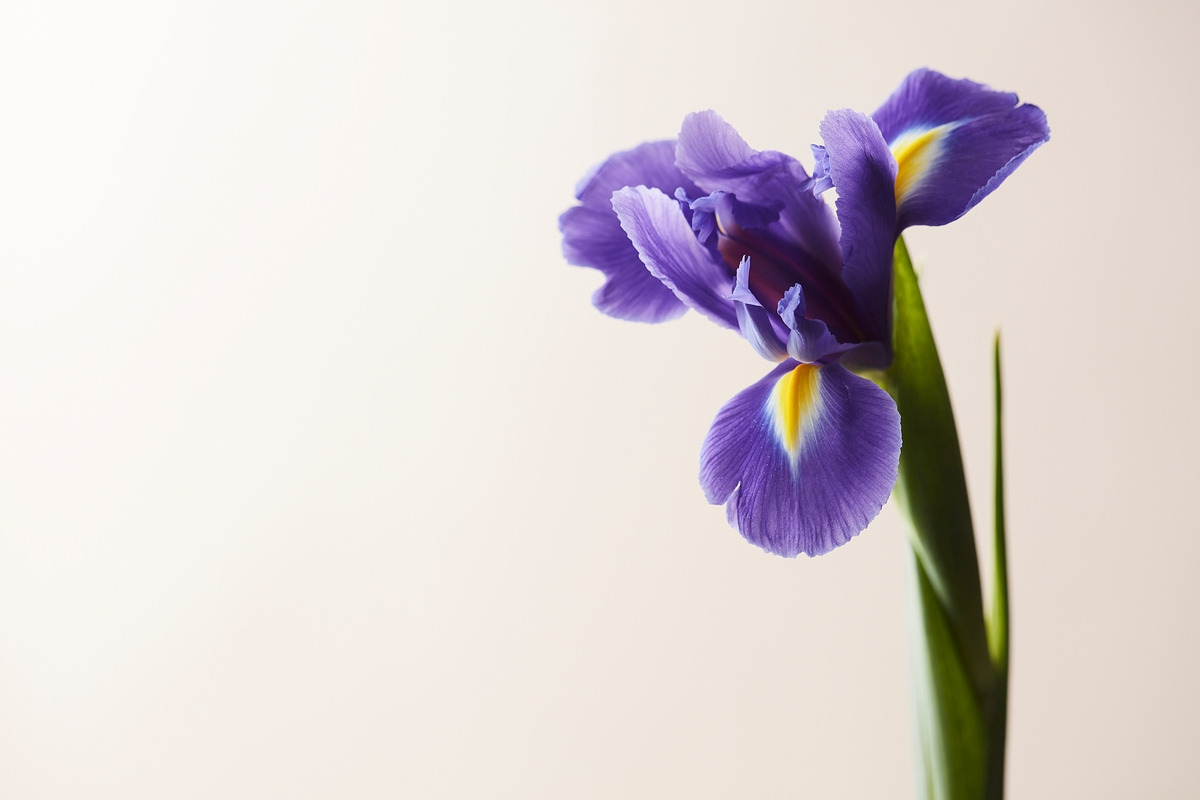 단오풍습 (21).jpg