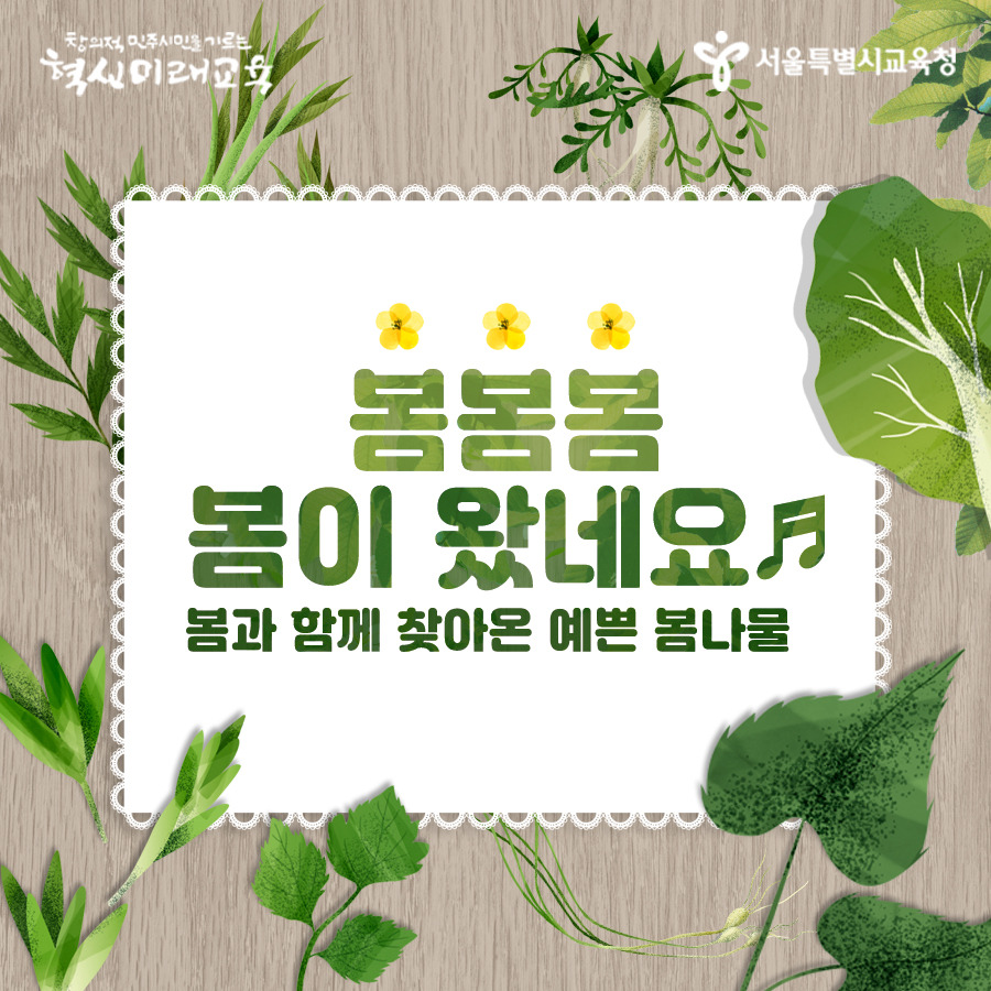 190321_서울시교육청-썸네일-봄나물.jpg