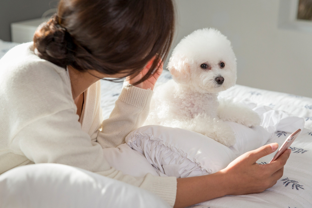 수의사 되는법 (10).jpg