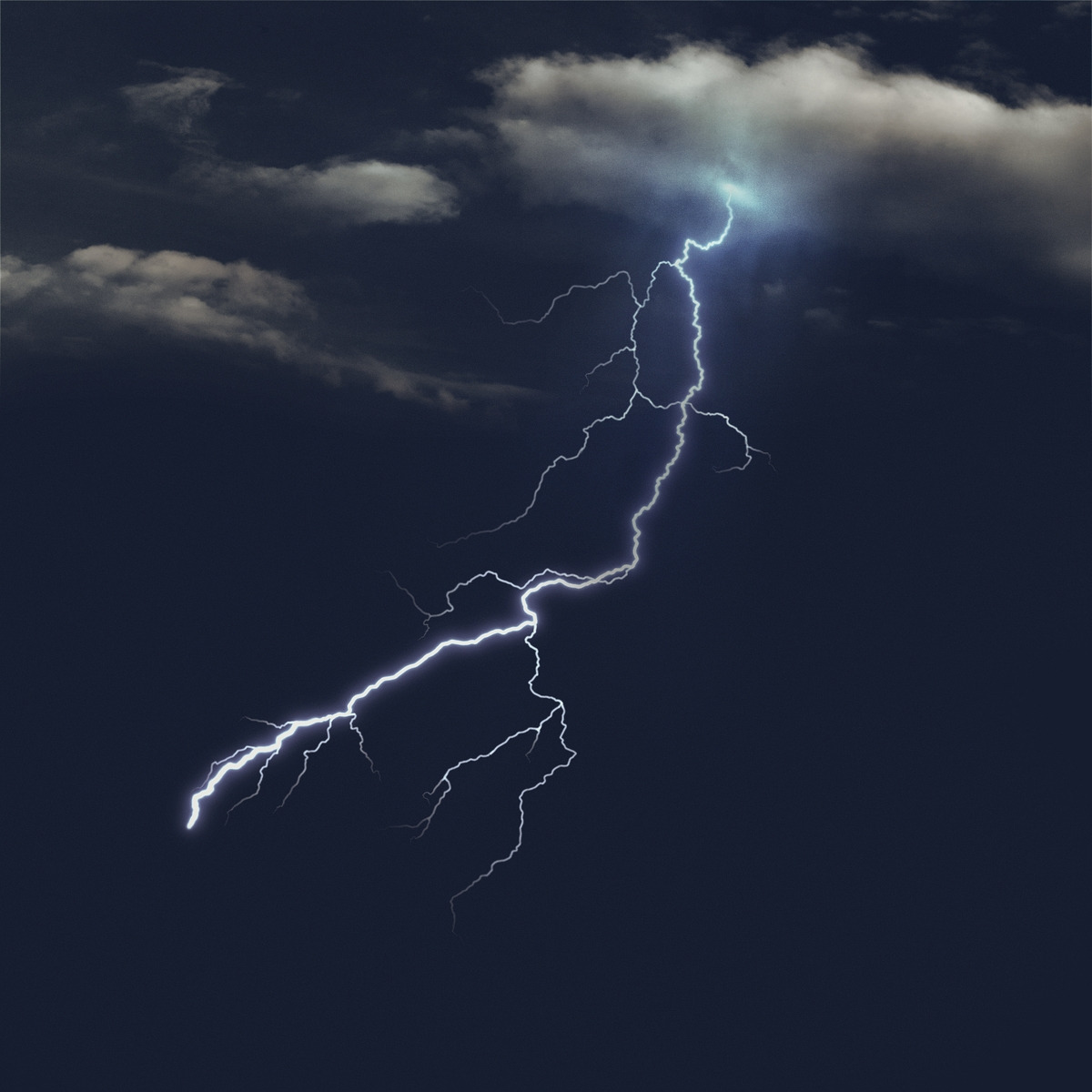 네온컬러 (20).jpg