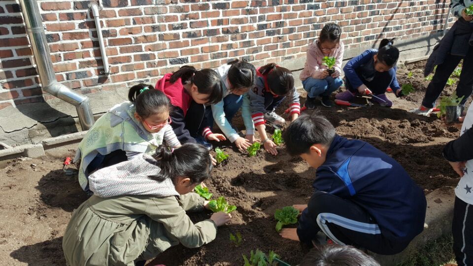 장려8-식물먹거리를 직접키우며 배워요.jpg