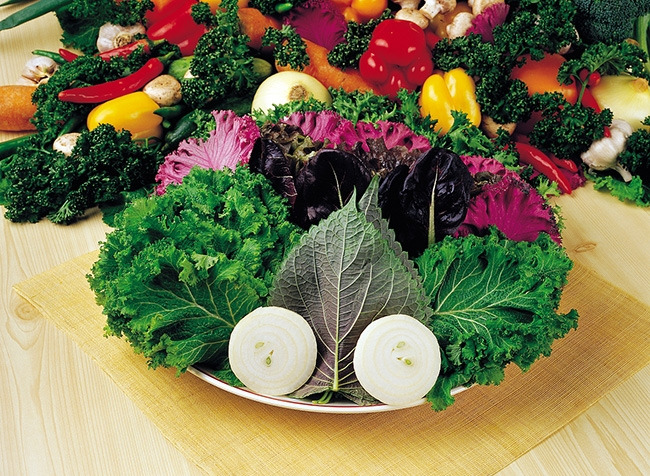 채식주의자 종류 (3).jpg