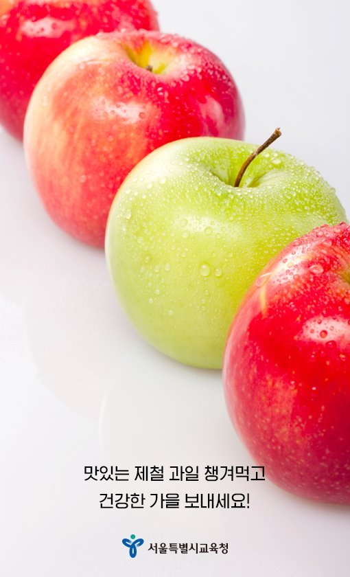 1018_가을제철과일_고르는방법_(7).jpg