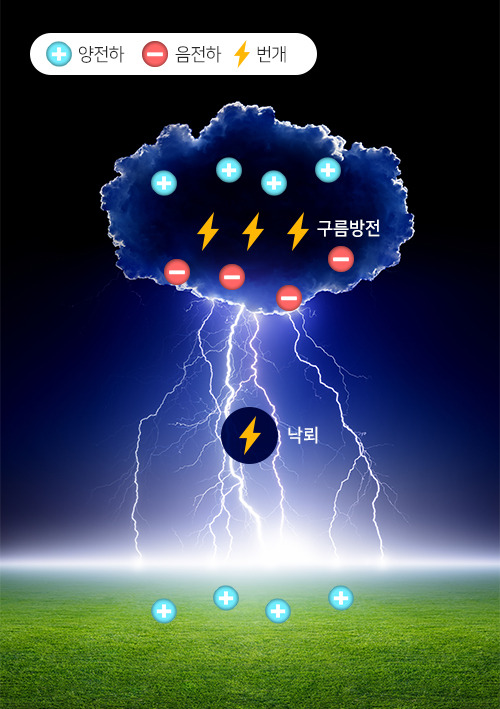 네온컬러 (4).jpg