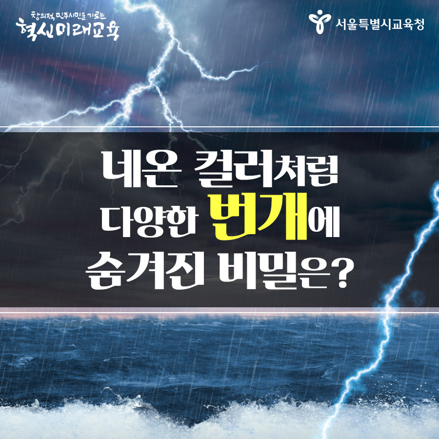 네온컬러 (17).jpg