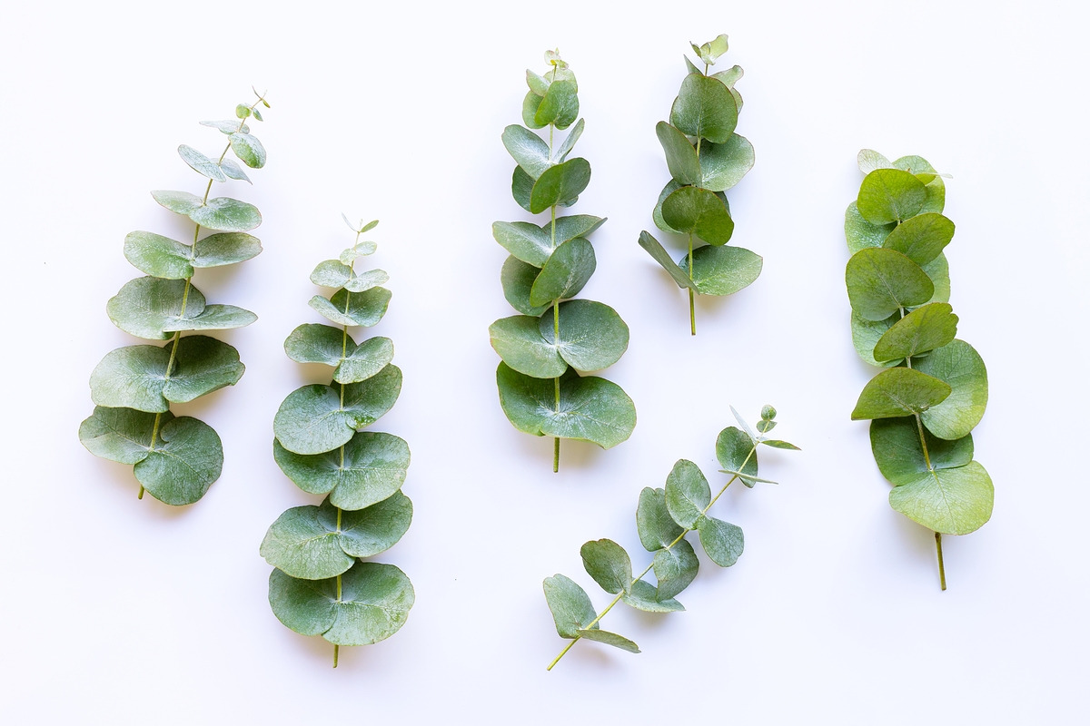 플로리스트 (9).jpg