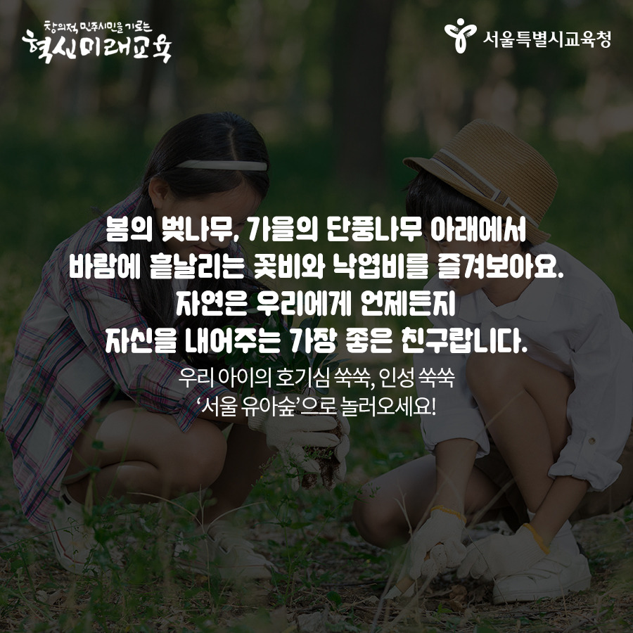 서울시교육청_카드뉴스_서울유아숲2편11_190709.jpg