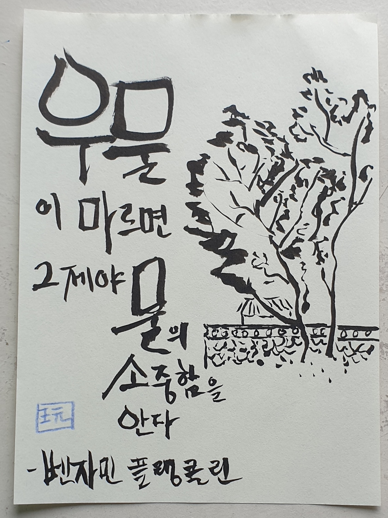 20230502_154641 (1).jpg