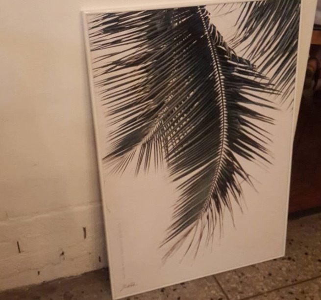 2018-08-20 14;25;56.jpg