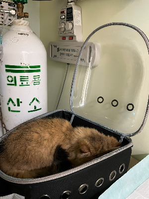 20260104 처음엔 로봇 청소기가 (2).jpg