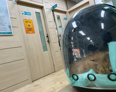 20260104 처음엔 로봇 청소기가 (1).jpg