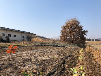 밭농사시작-선풍기 허수아비.jpg