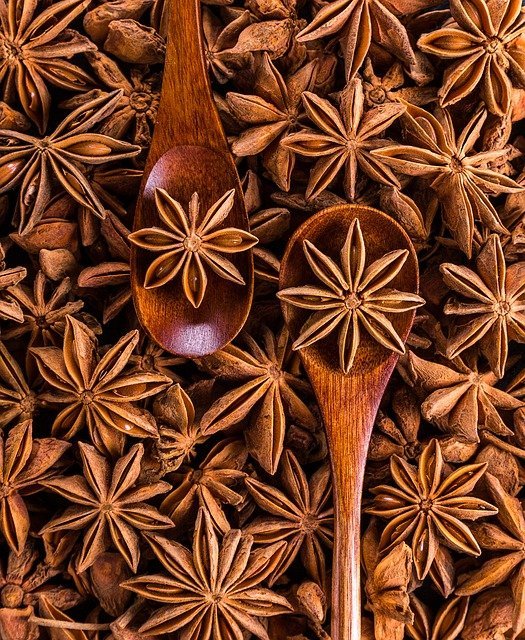 star-anise-gf316e3e5c_640.jpg