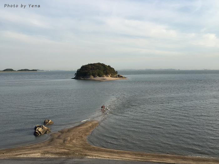 다운로드 (8).jpg