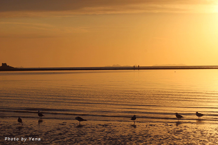 다운로드 (7).jpg