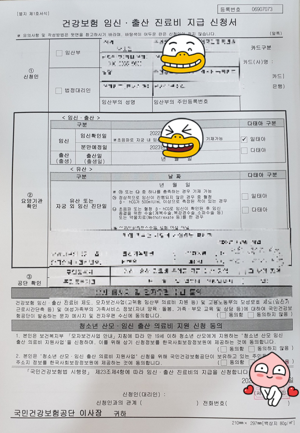 임신확인서.jpg