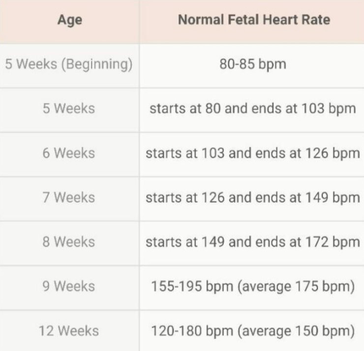 아기 심장박동수.jpg