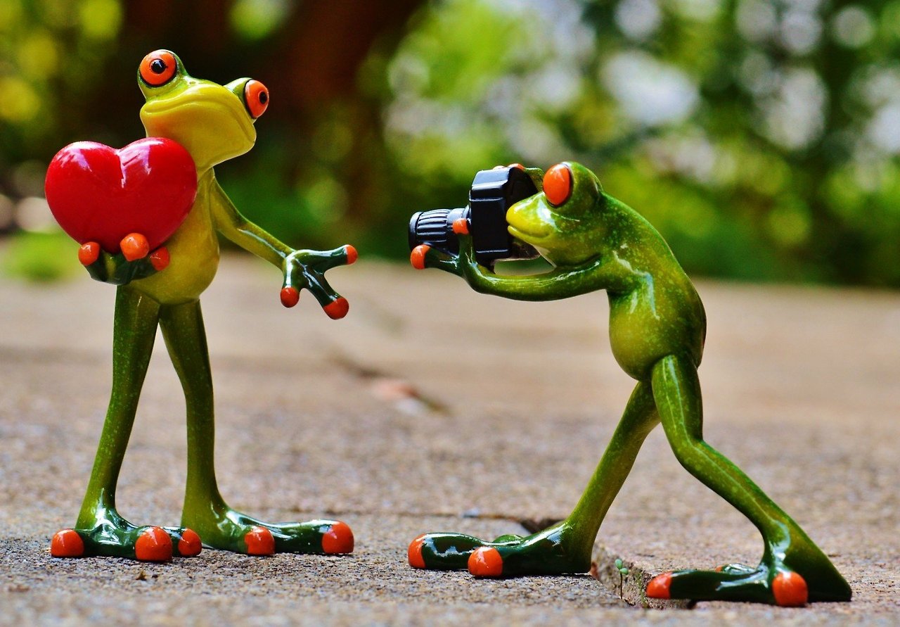 figurines-of-frogs-with-heart-and-camera.jpg